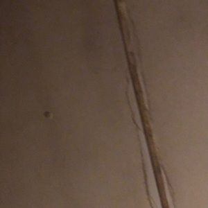 Meet your Posher, Alana